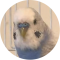 sky face sky face