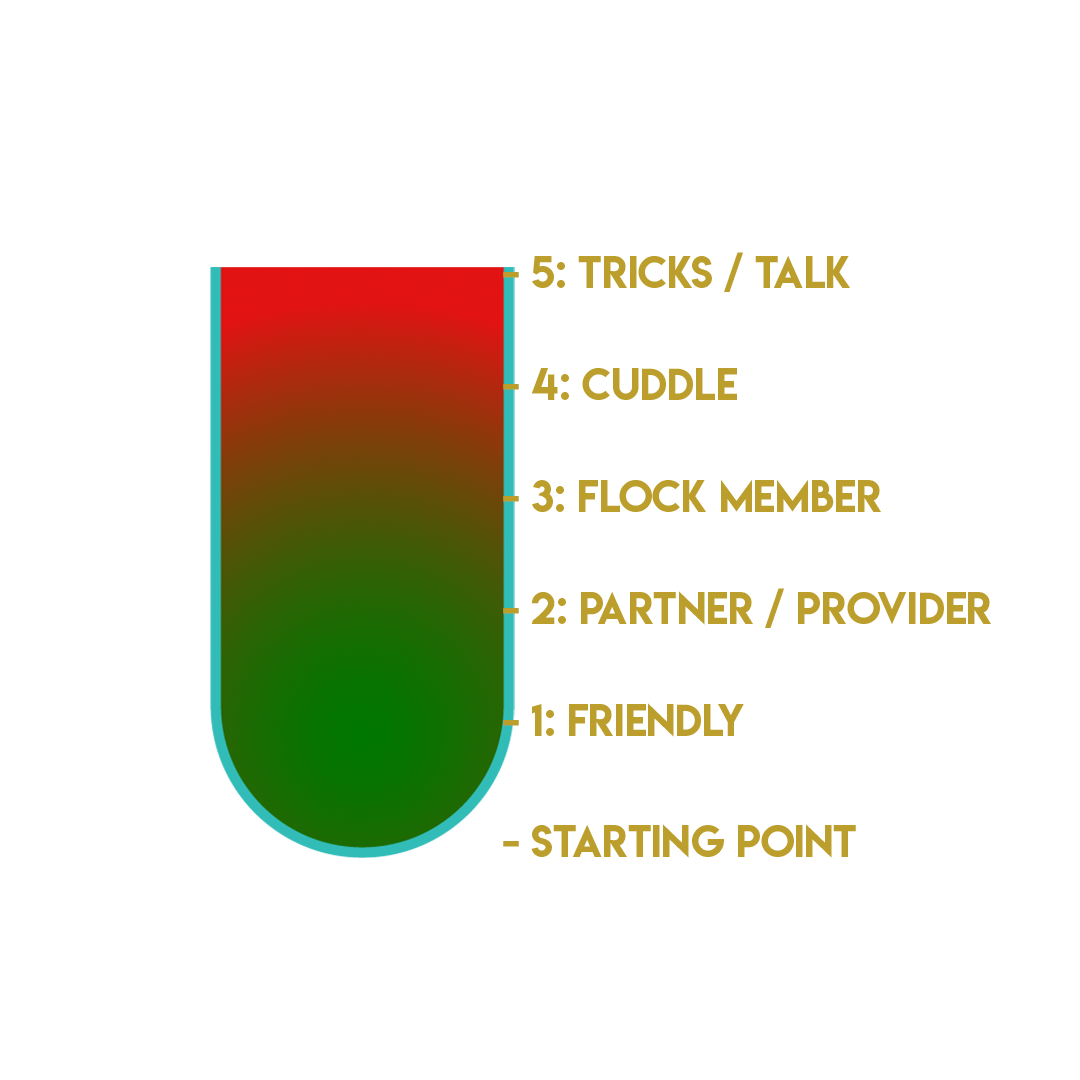 FPFCT Scale