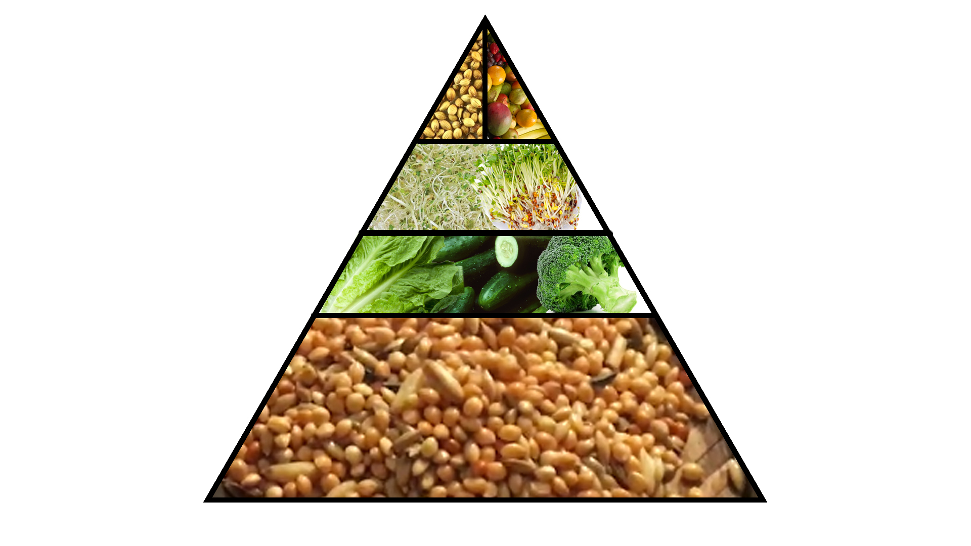 Toxic And Safe Food Budgie World Toxic And Safe Food Budgie World