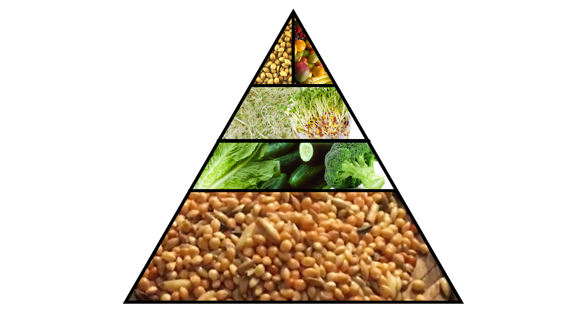 Budgies Nutrition