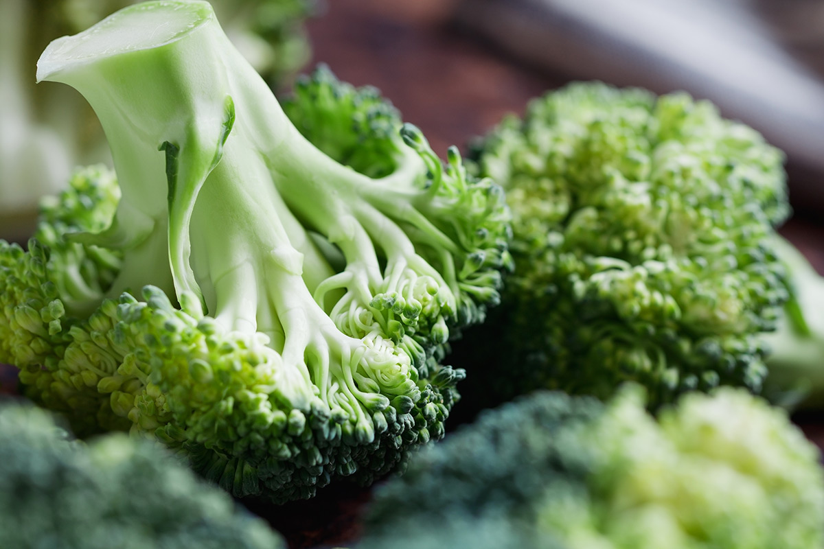 close-up-of-a-fresh-broccoli-on-a-cutting-board close-up-of-a-fresh-broccoli-on-a-cutting-board