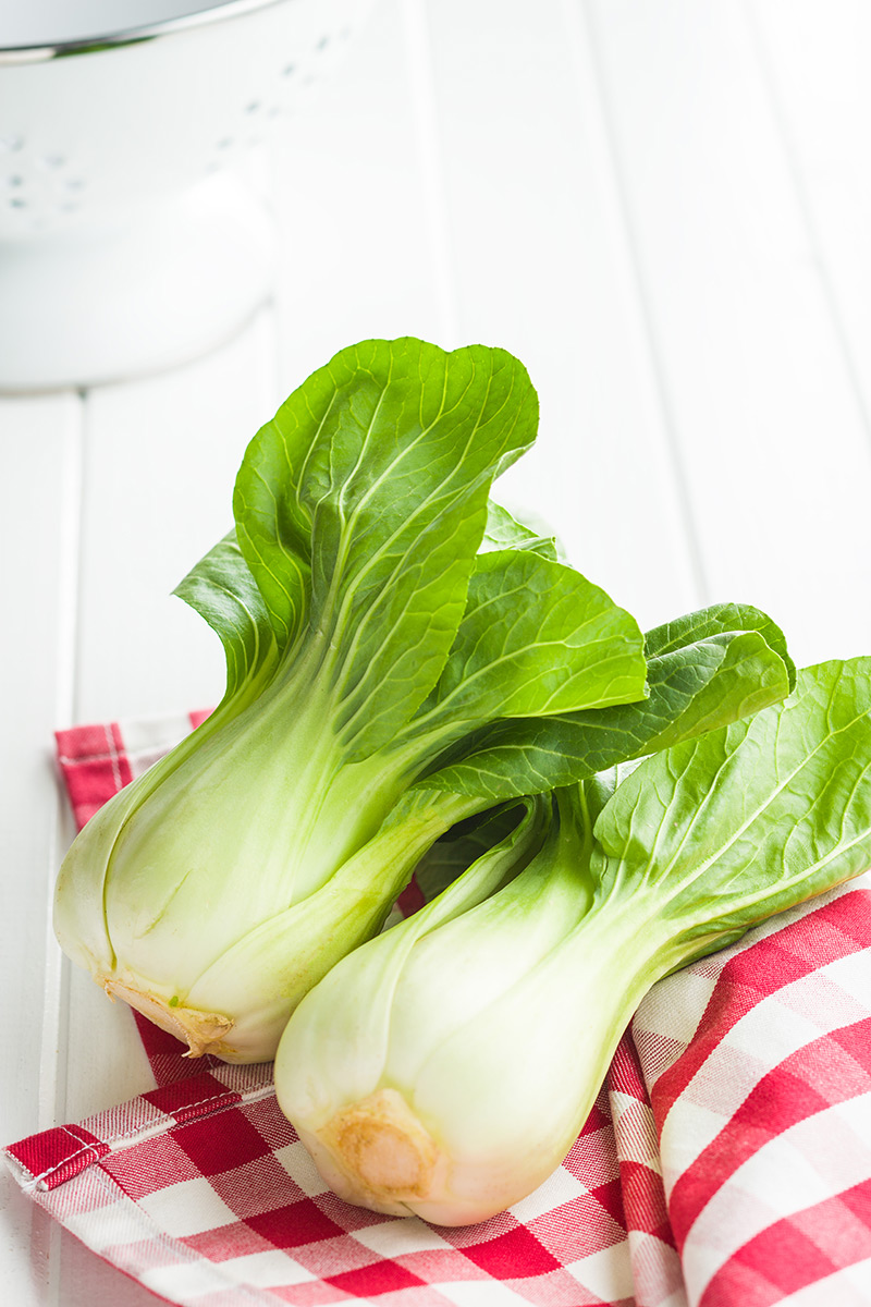 fresh-bok-choy-on-red-gingham-napkin fresh-bok-choy-on-red-gingham-napkin