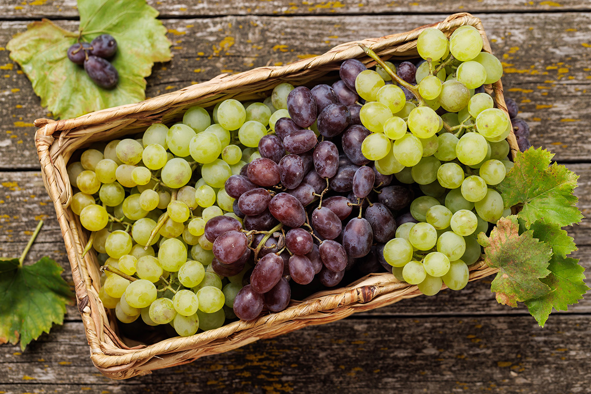 fresh-green-and-purple-grapes-in-wicker-basket fresh-green-and-purple-grapes-in-wicker-basket