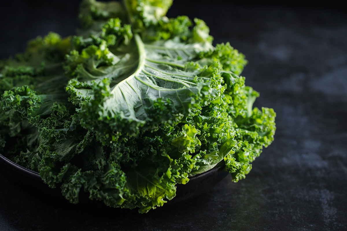 fresh-green-kale-leaves-on-dark-background fresh-green-kale-leaves-on-dark-background