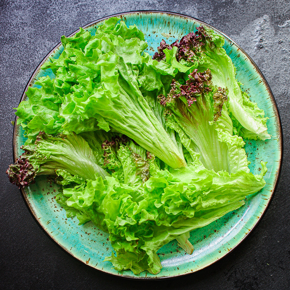 lettuce-leaves-salad-vegetables lettuce-leaves-salad-vegetables