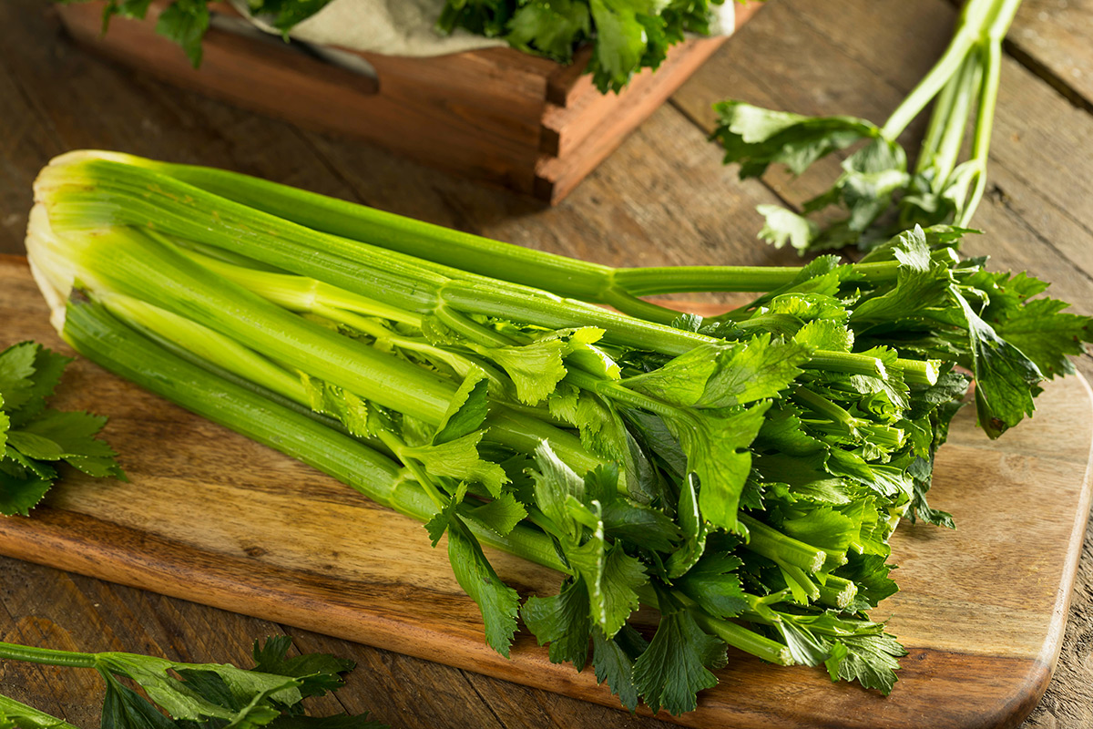 raw-organic-green-celery raw-organic-green-celery